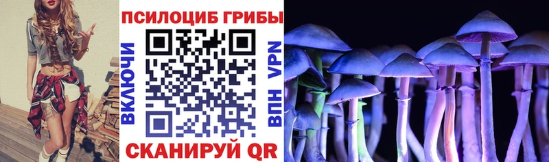 Галлюциногенные грибы Cubensis  наркошоп  Кяхта 